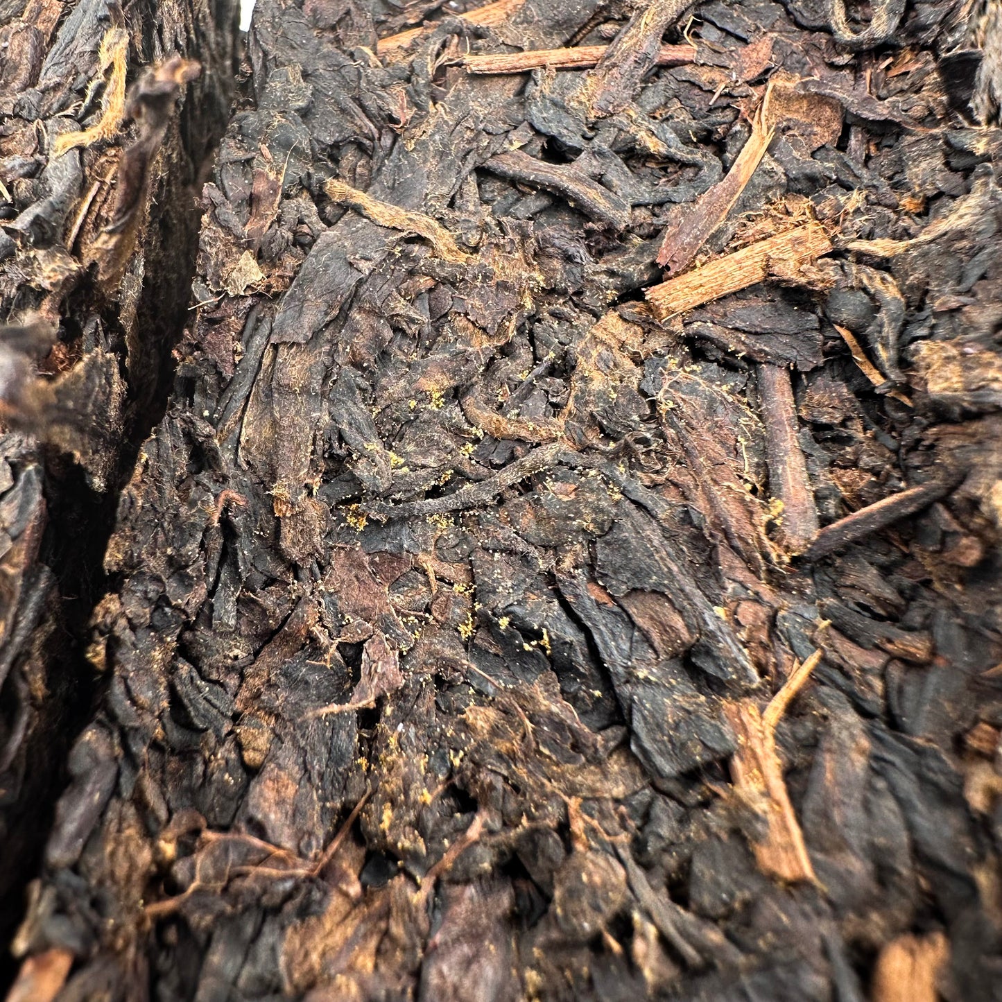 'Golden Flower'- Fu Zhuan Hei Cha-Organic