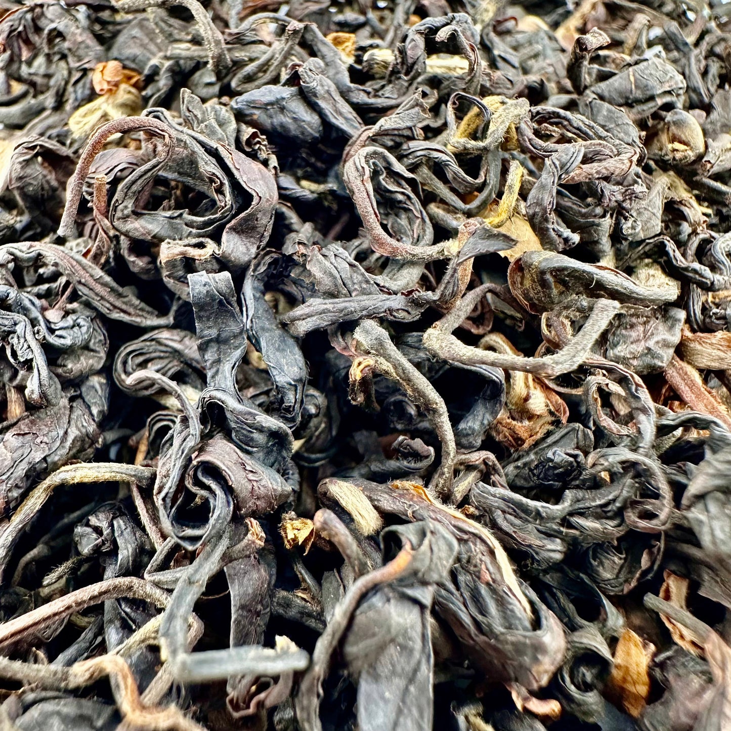 2023 Wild Purple Rascal Black Tea (Hong Cha)