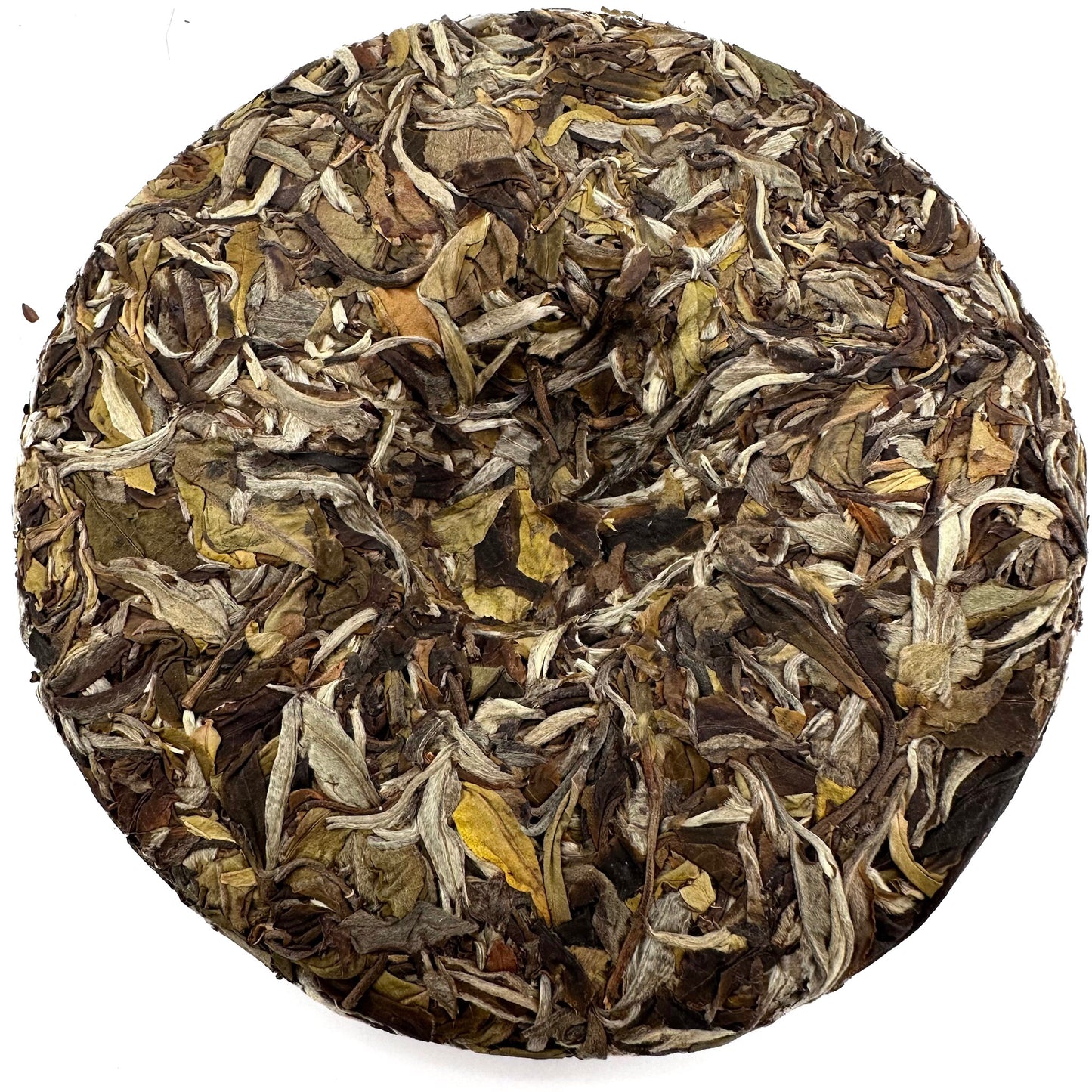 Old Tree White Tea (Gu Shu Bai Lu)