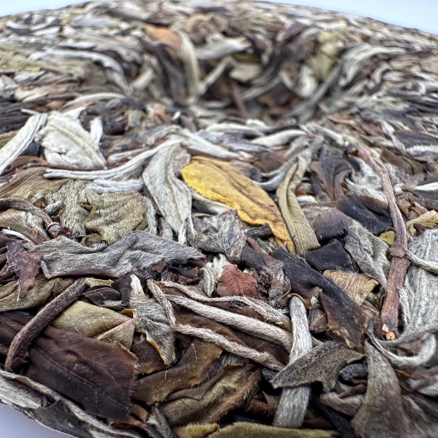 Old Tree White Tea (Gu Shu Bai Lu)