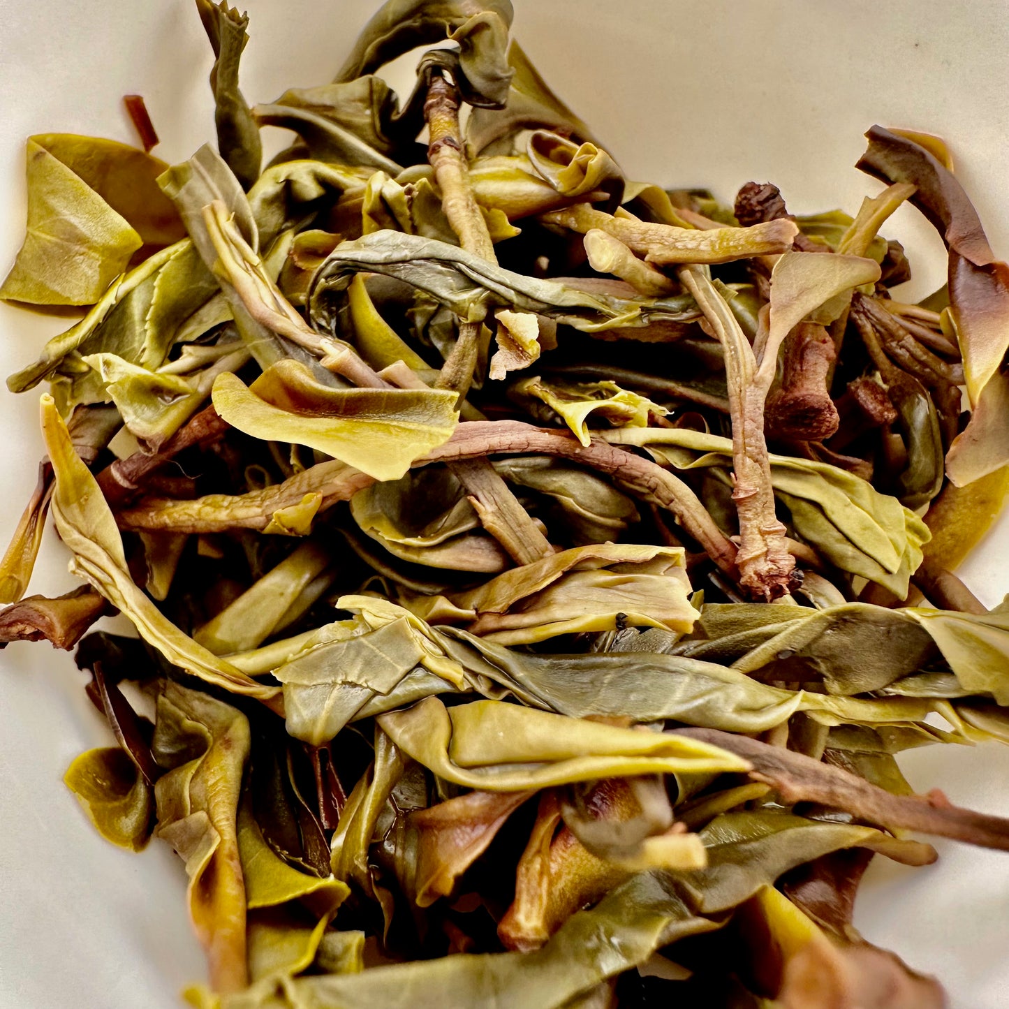 Big Snow Mountain Raw (Sheng) Puerh- Spring 2023